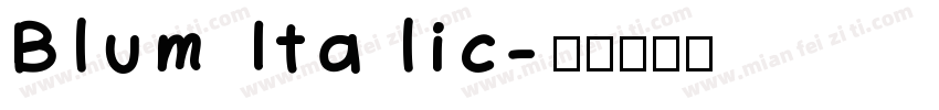 Blum Italic字体转换